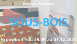Du 29 septembre au 3 décembre 2021 : Exposition Katja Von Puttkamer – Sous-Bois