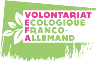 Volontariats franco-allemands